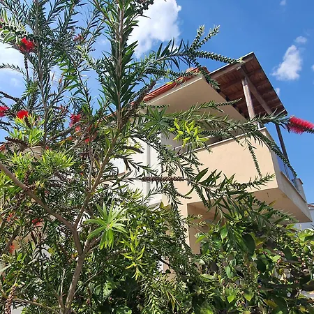 Callistemon Loft