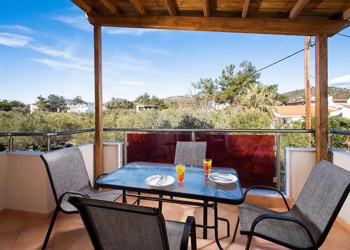 Callistemon Loft