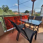 Callistemon Loft *